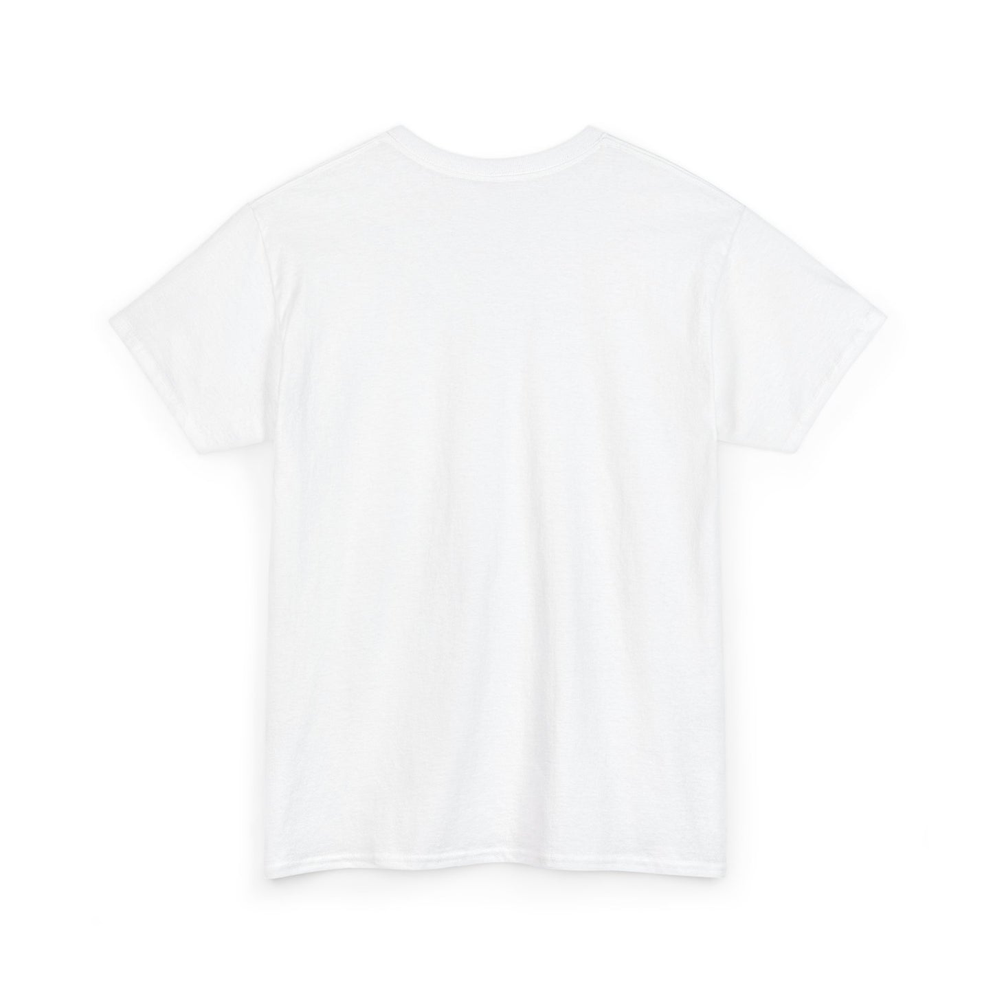 Best Comfortable Unisex Heavy Cotton Tee - Lets Take It Now