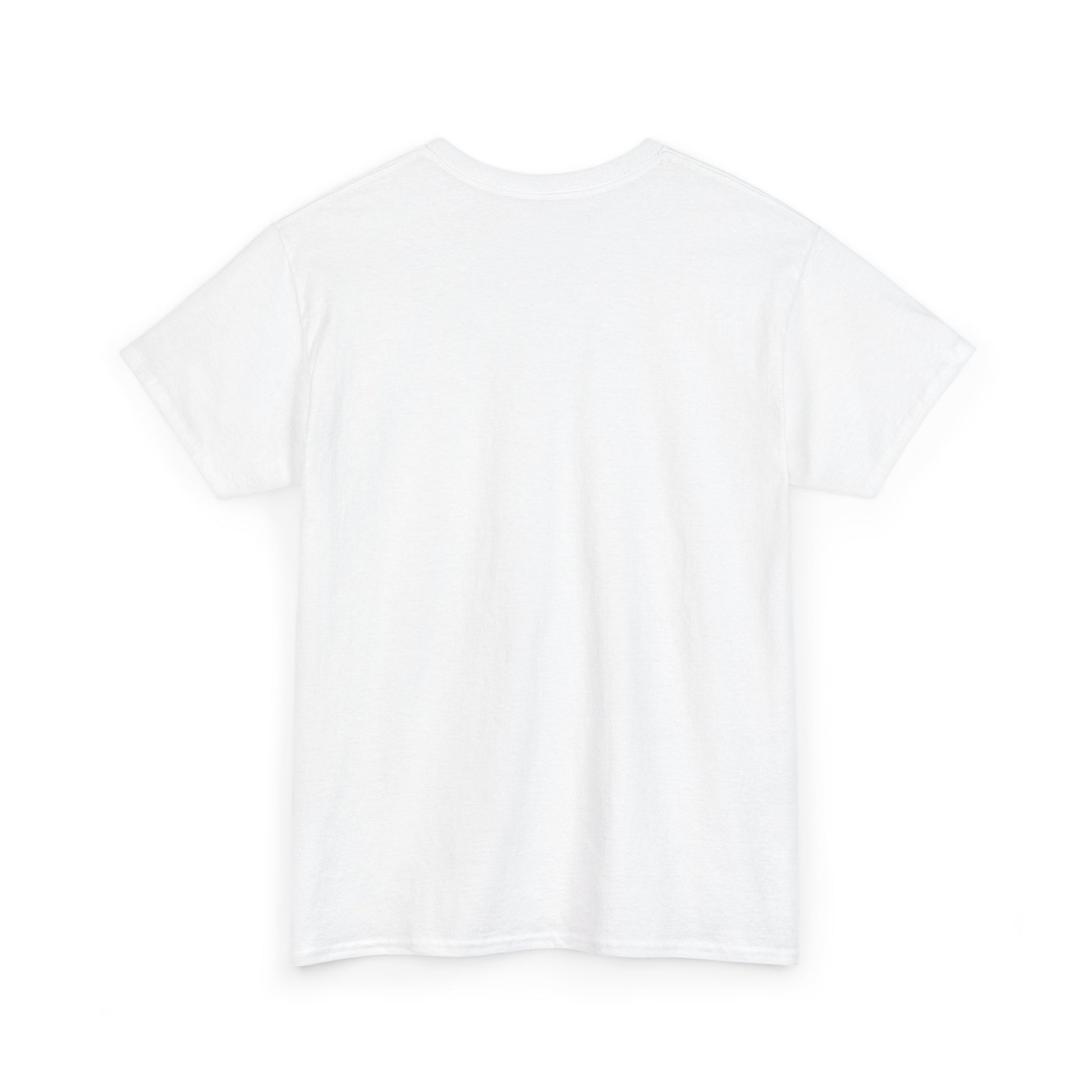 Best Comfortable Unisex Heavy Cotton Tee - Lets Take It Now